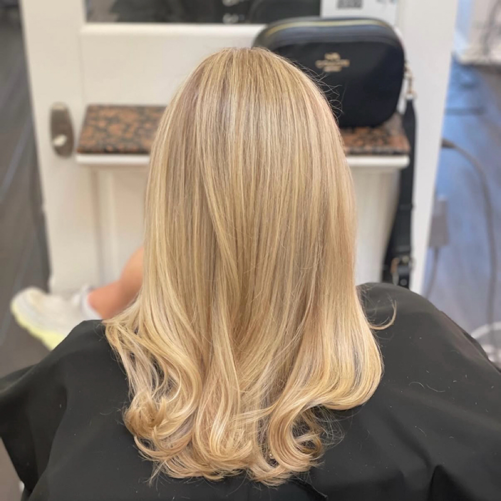 partial highlight at hue & halo in Arlington, VA