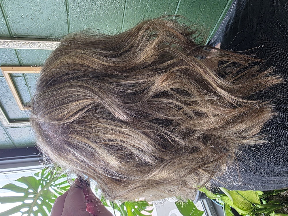 Adult Haircut