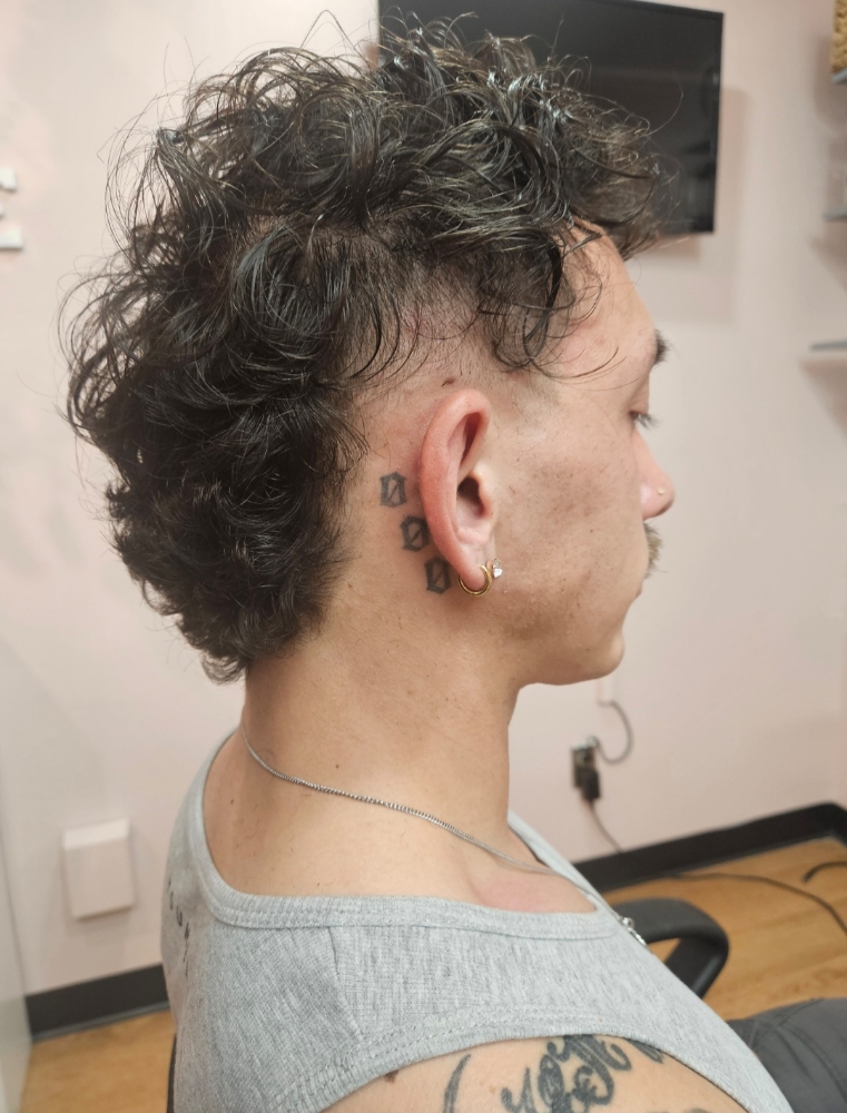 Men's Cut (Double Zero) at Stormee Stylez in Colorado Springs, CO