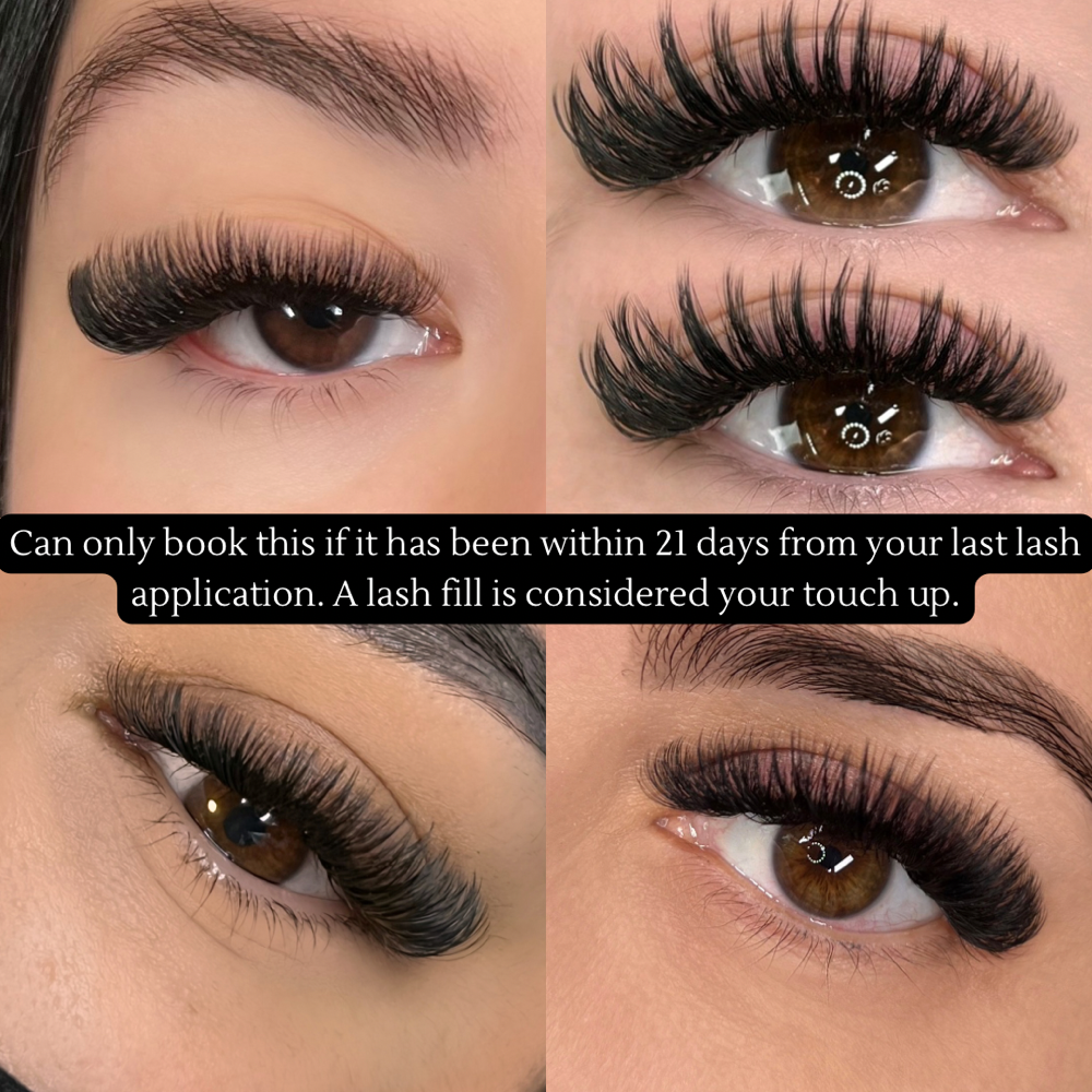 Mega Volume Fill