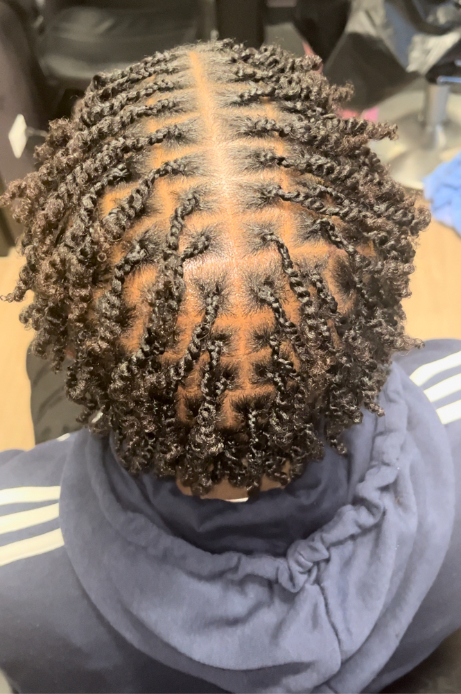 Starter Locs - 2 Strand Twists