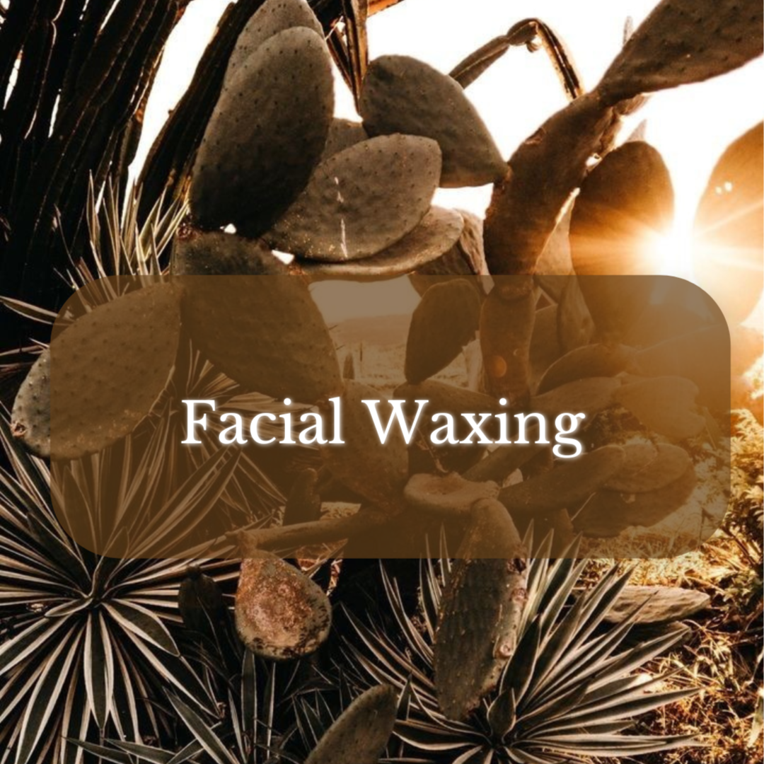 Facial Waxing at Magnolia on Main in Keene, NH
