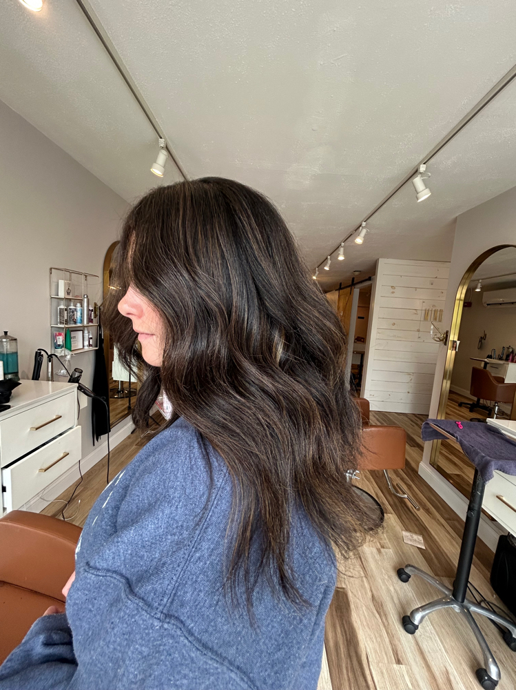 Gray Coverage + Hair Cut