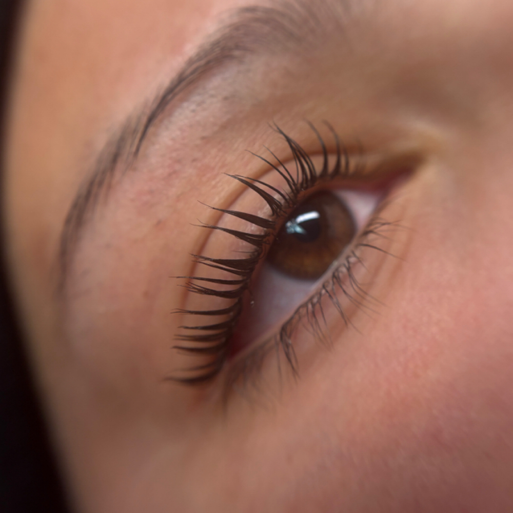 Lash Lift at Purfection Wax Studio in Albuquerque, NM