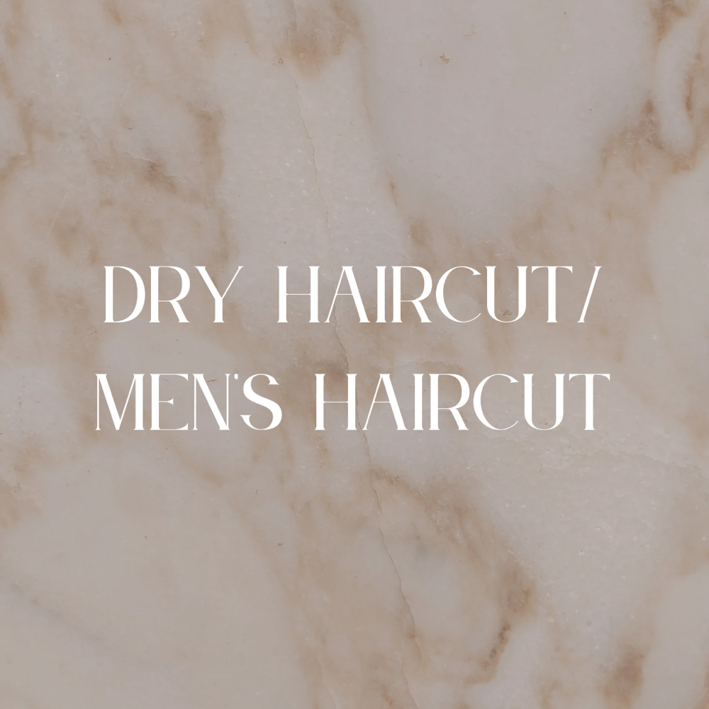 Dry Haircut/ Men’s Haircut