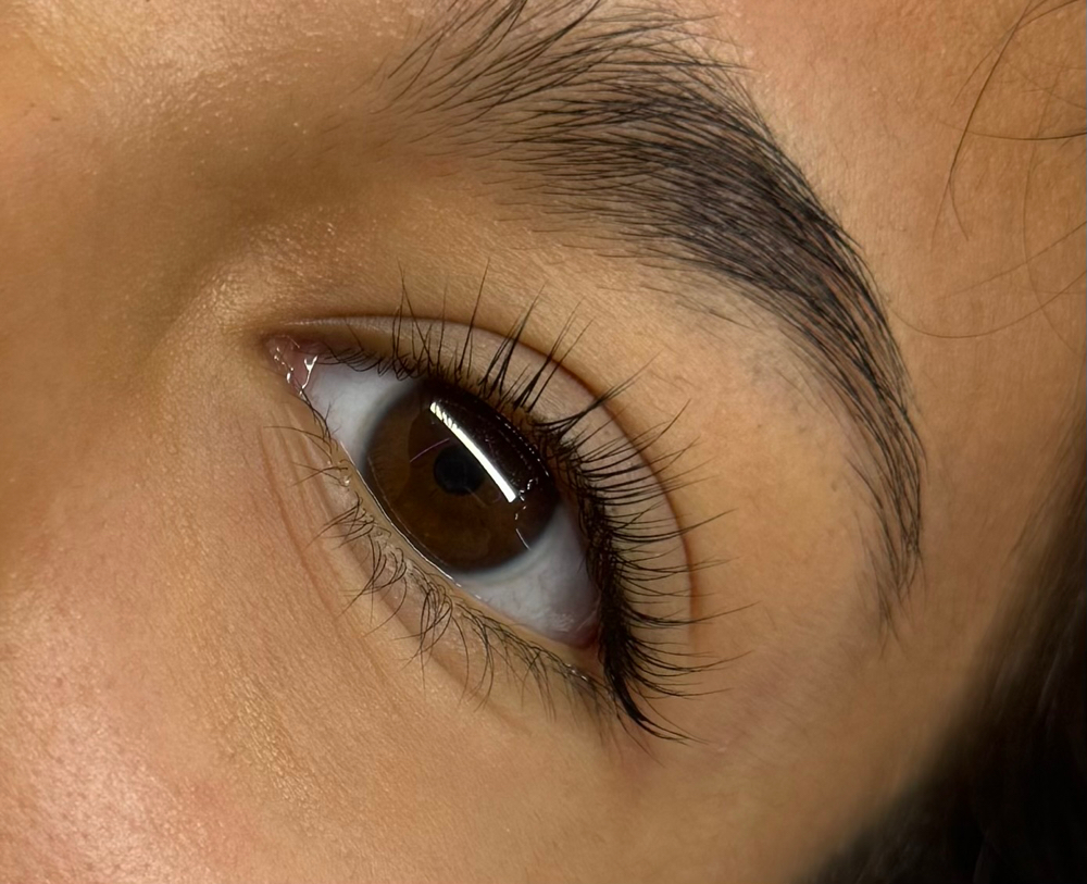 Lash lift + Tint ( Special)