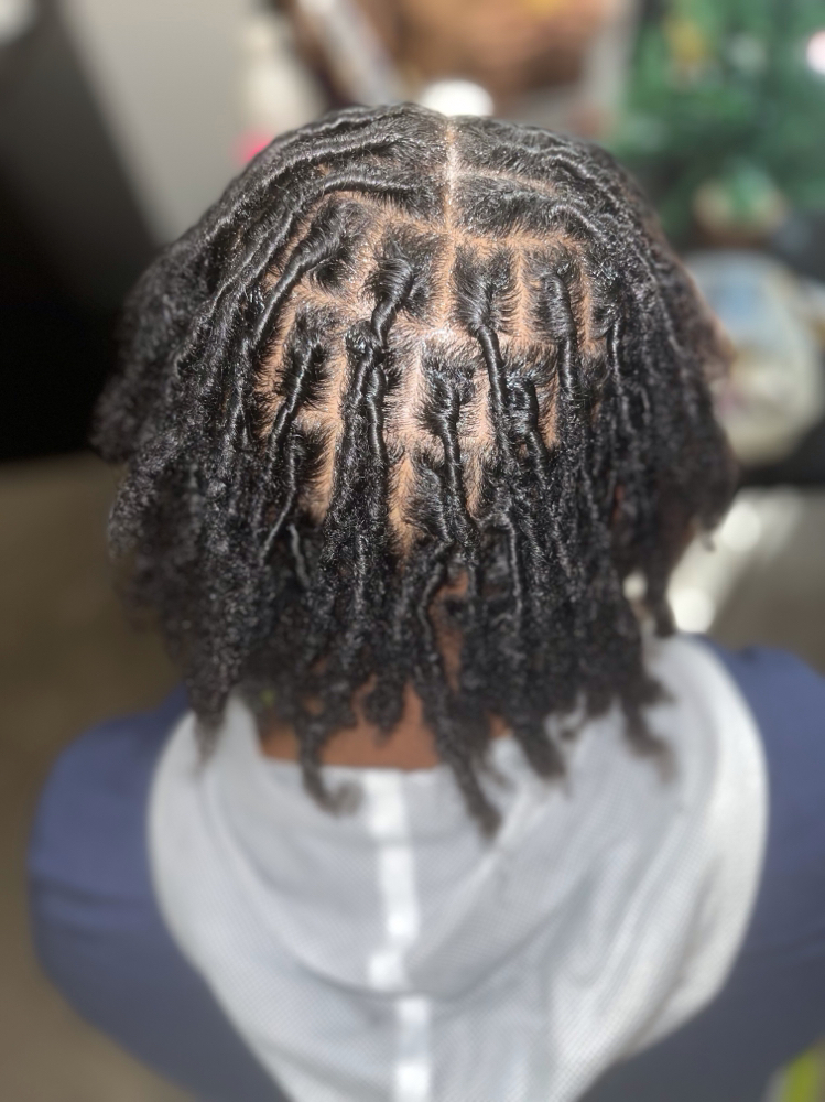 Starter Locs