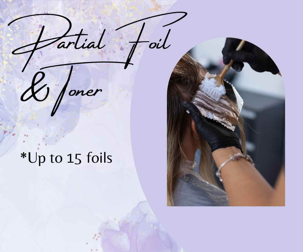 Partial Hilight + Toner (Up To 15) at Hair by Sarah At Salon Stiles in Coventry Township, OH