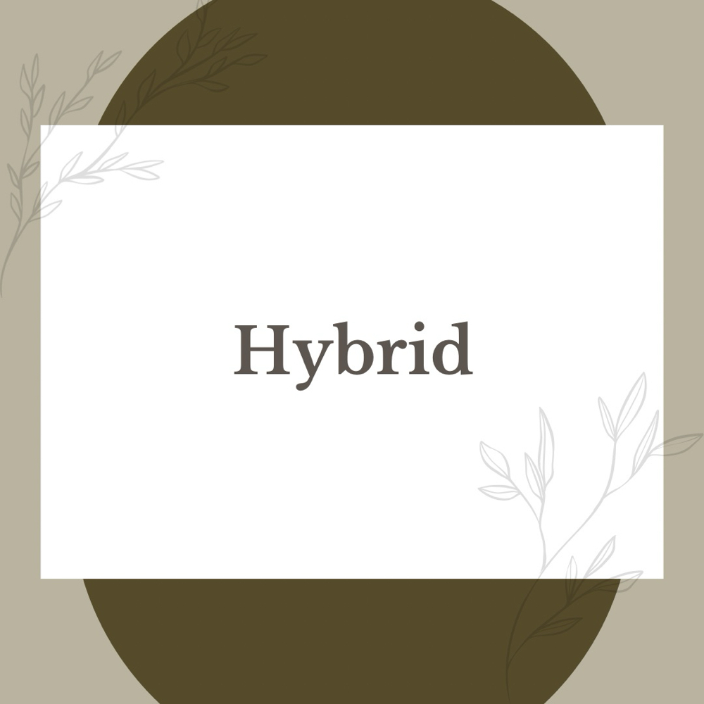 Hybrid Set