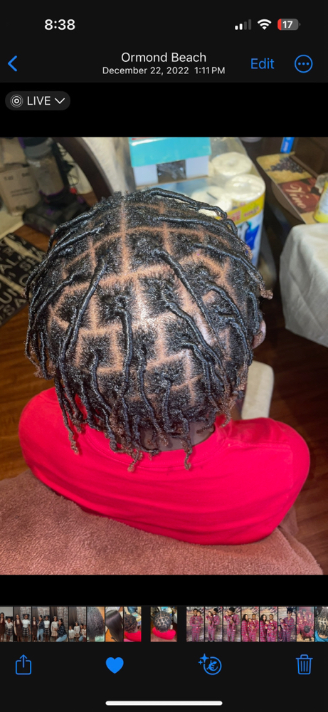Starter Locs - Short Length