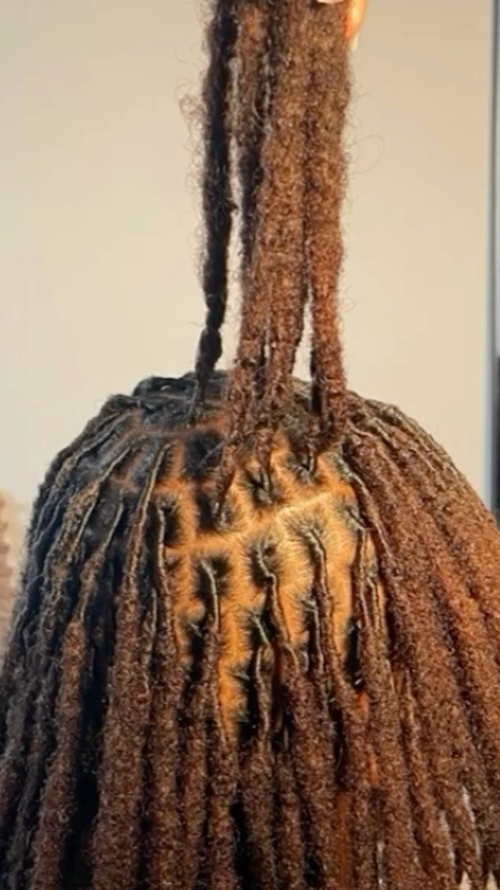 Loc Retwist