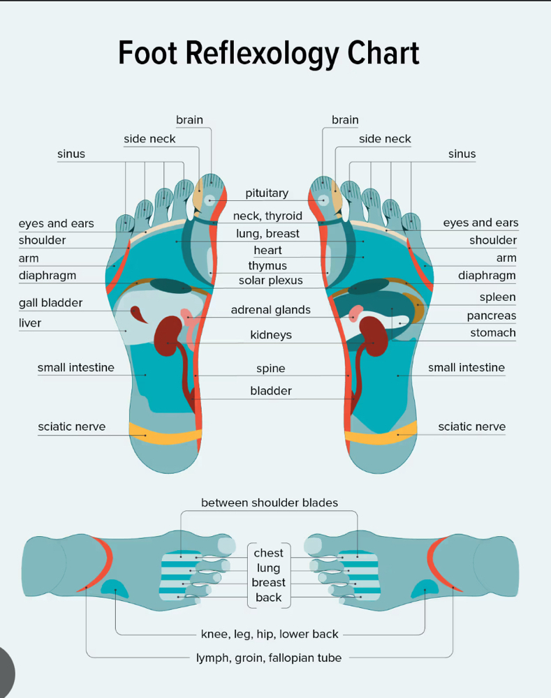 Reflexology – 60 Minutes – $125