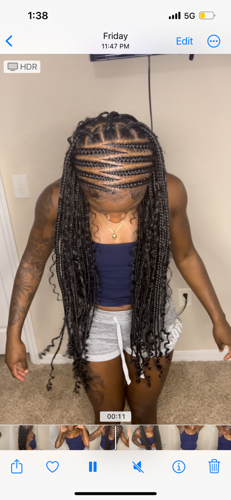 Fulani Braids (WL)