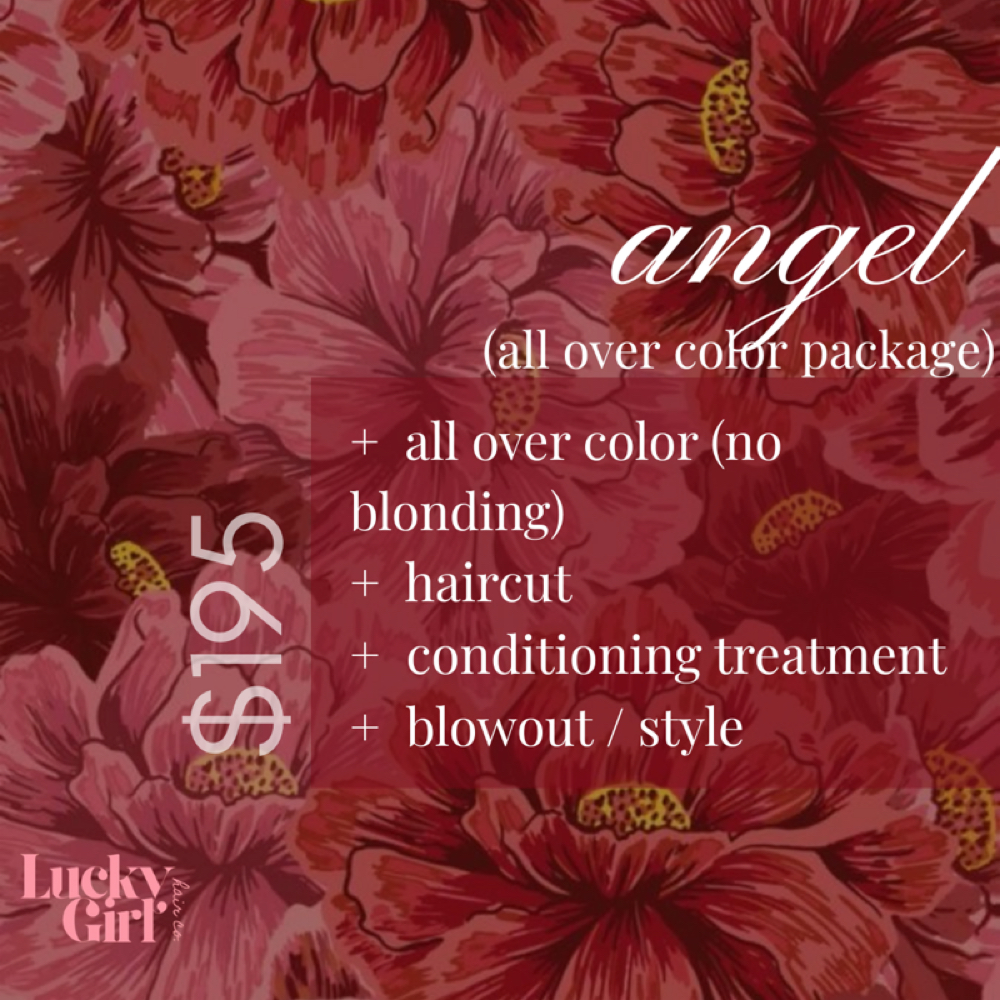 angel package (all over color) at lucky girl hair co. in dallas, TX