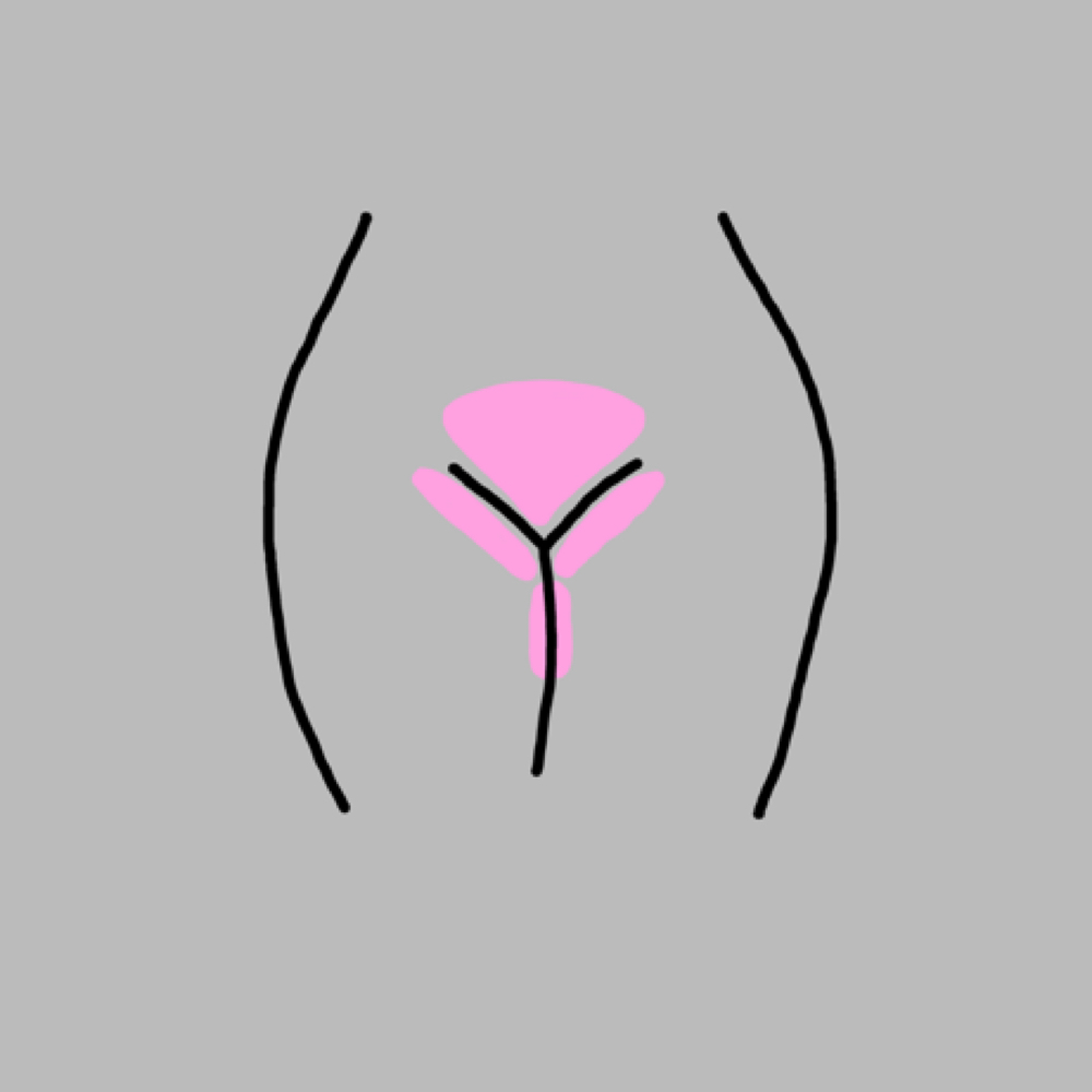 First Time Brazilian!!! at Desert Rose Beauty in Bowling Green, OH