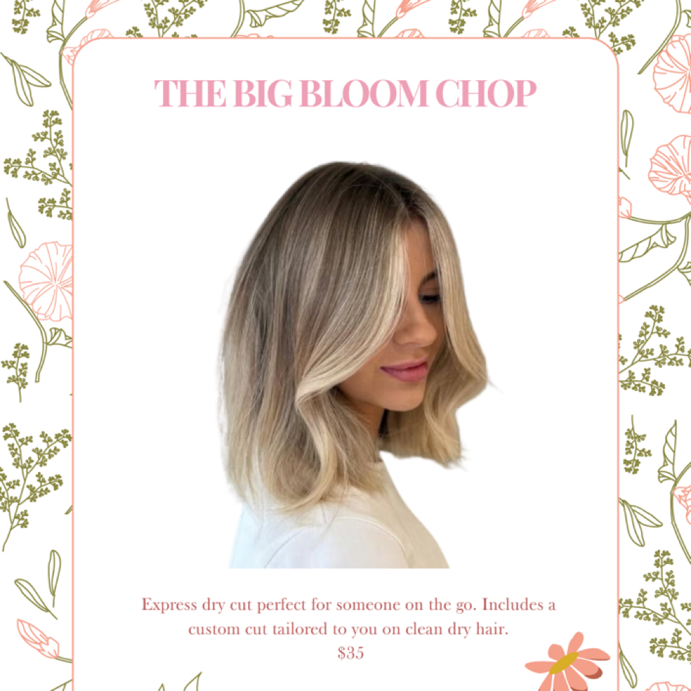 The Big Bloom Chop at Graceful Salon in North Olmsted, OH