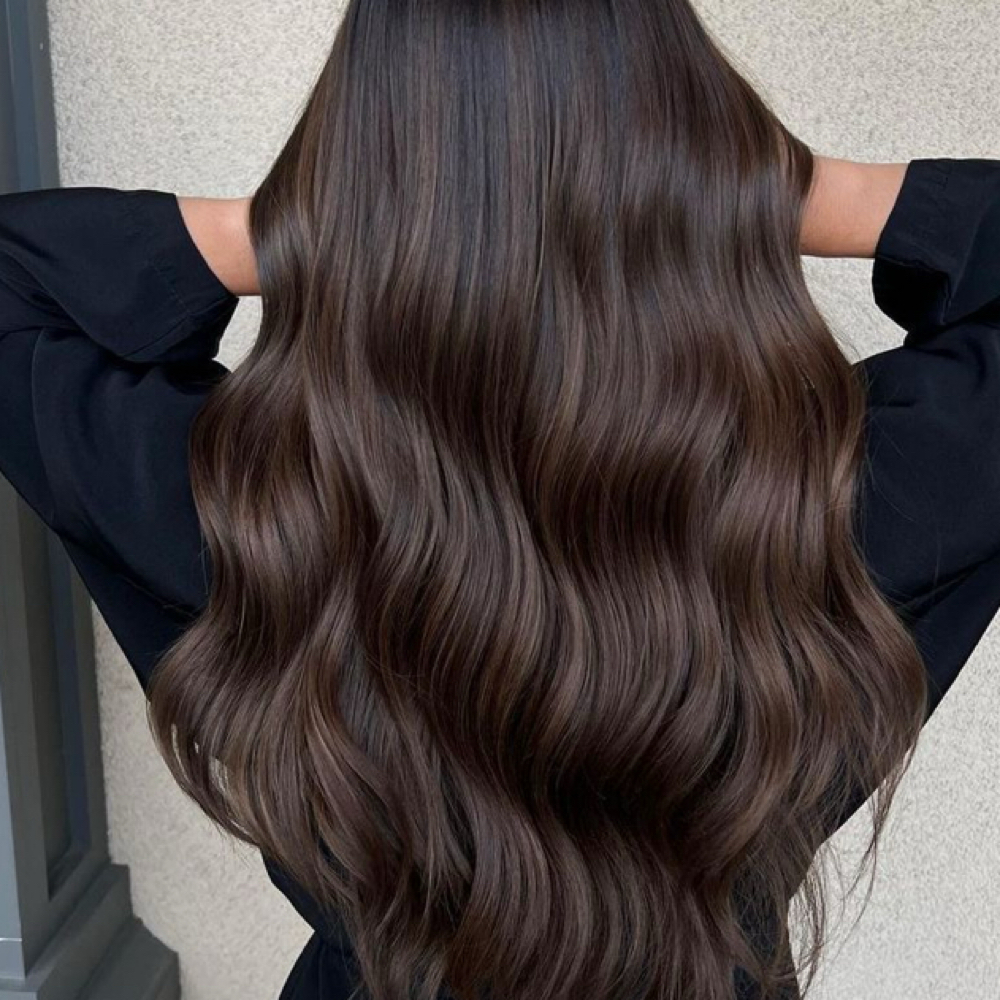 Single Process Color at Platinum beauty salon in Naples, FL