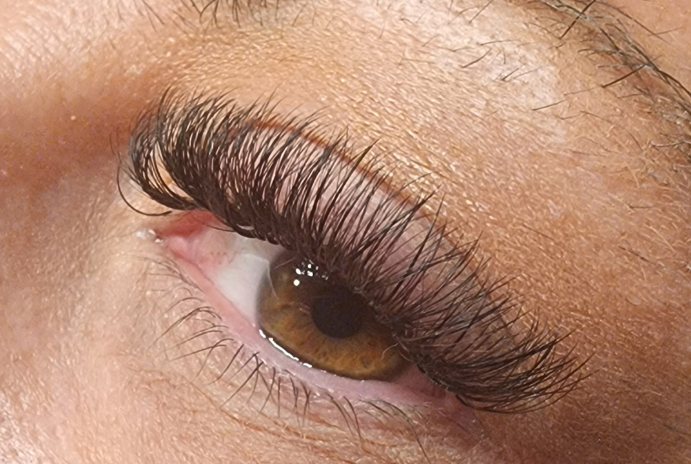 Hybrid Lashes
