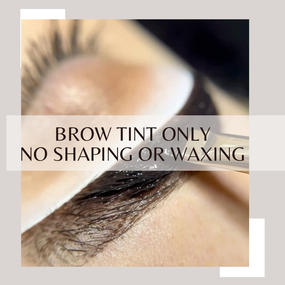 Brow Tint Only
