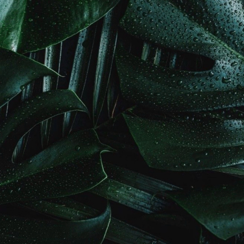 Dermaplane at Velvet Skin Esthetics in Pocatello, ID