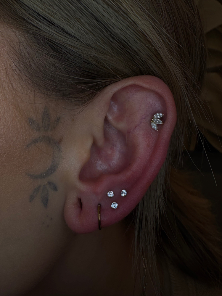 Paired Ear Lobe