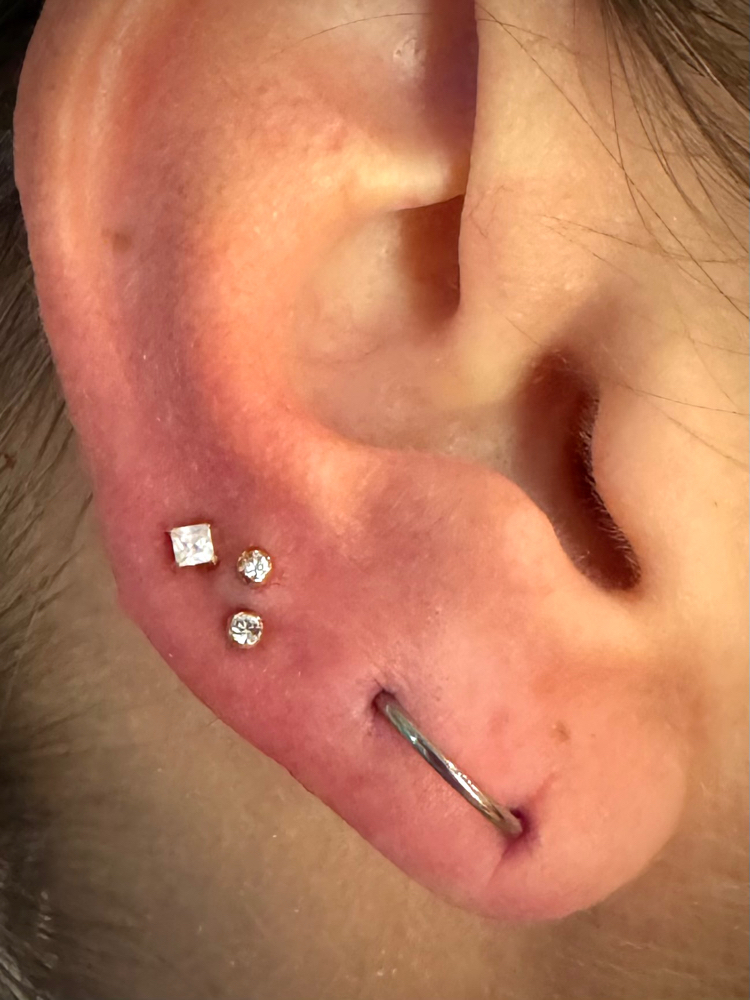 Paired Ear Lobe