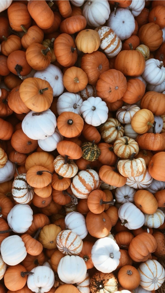 The Great Pumkin Facial