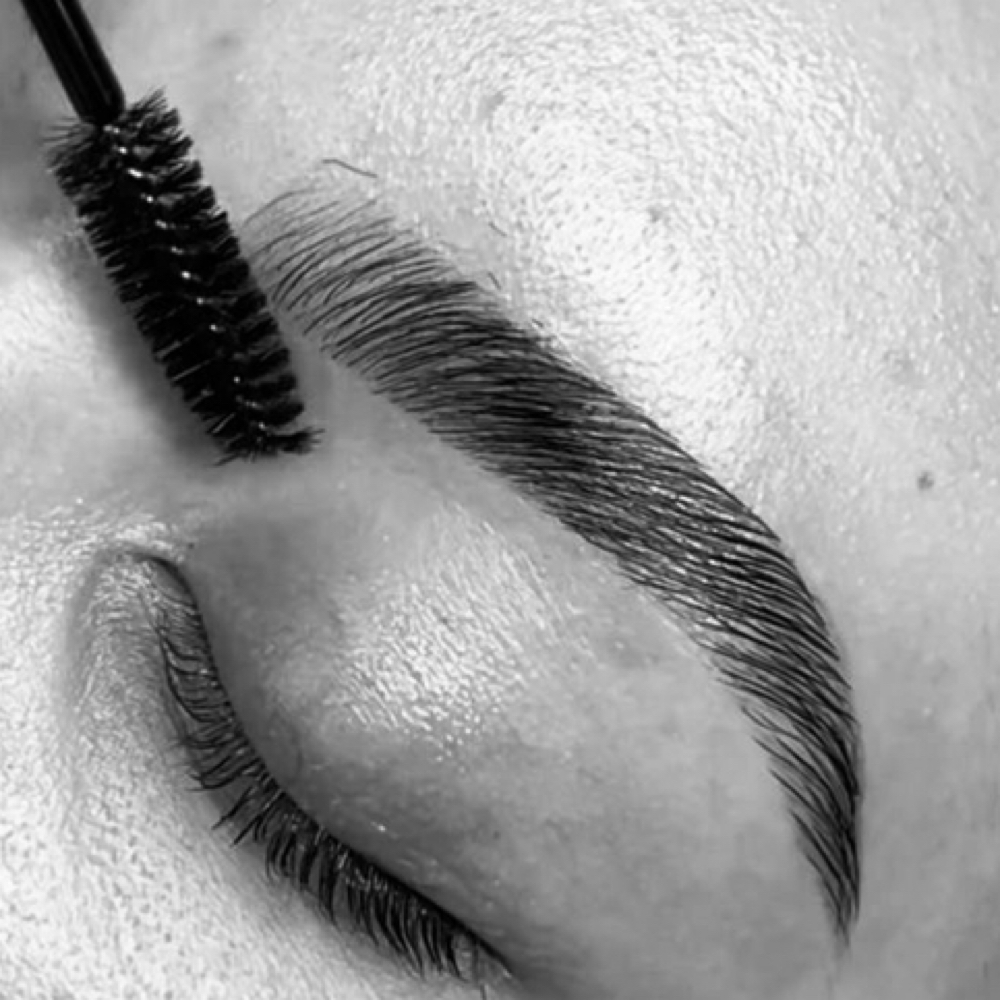 Brow Lamination at Esthetics by Bre | Haus Beauty & Esthetics in Goldsboro, NC