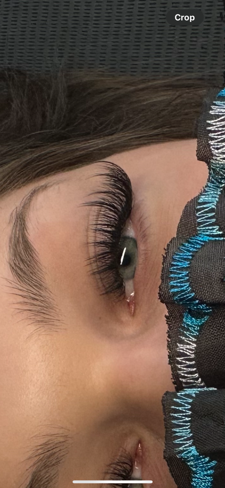 Wispy/Wet Set Lashes