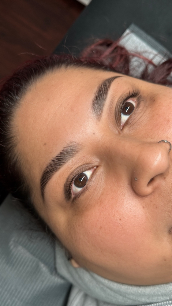 Classic Brow Lamination