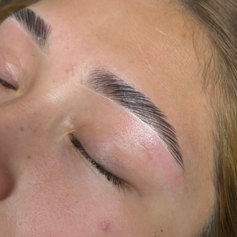 Classic Brow Lamination at Eyebrow Lounge By Lidia in San Jose, CA