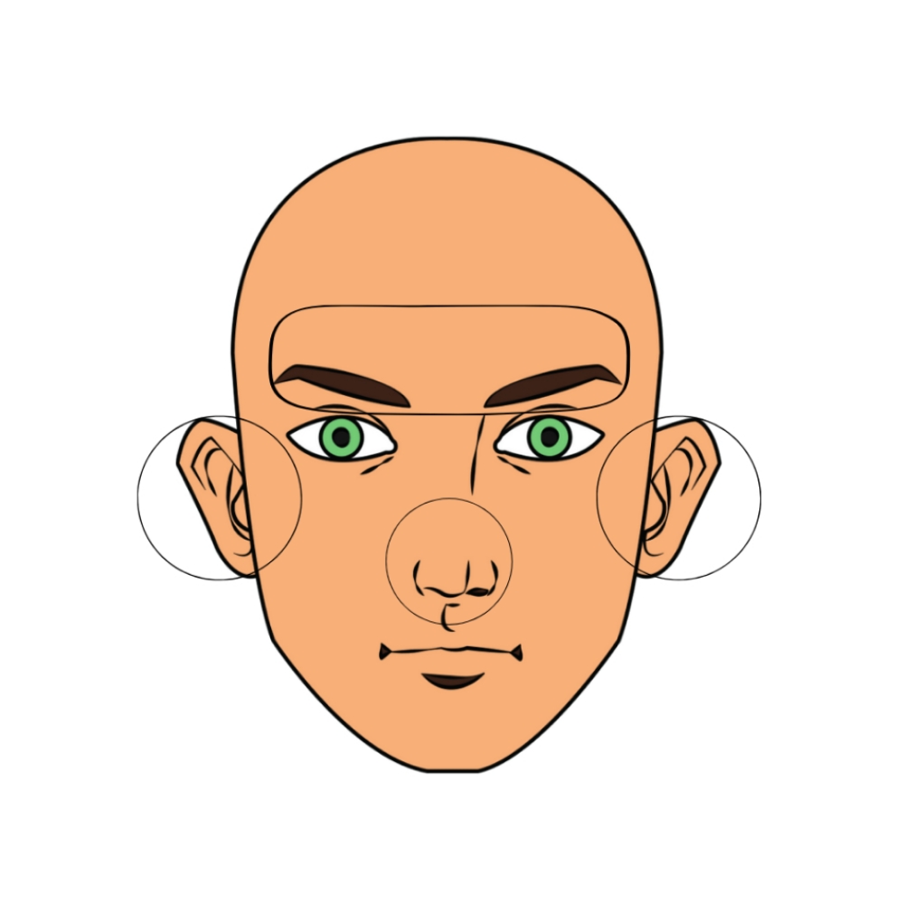 Braddah Brows, Ears, Nose