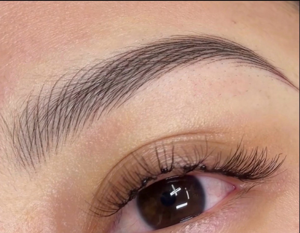 Nano Hairstroke at Brows By Eleena in Modesto, CA