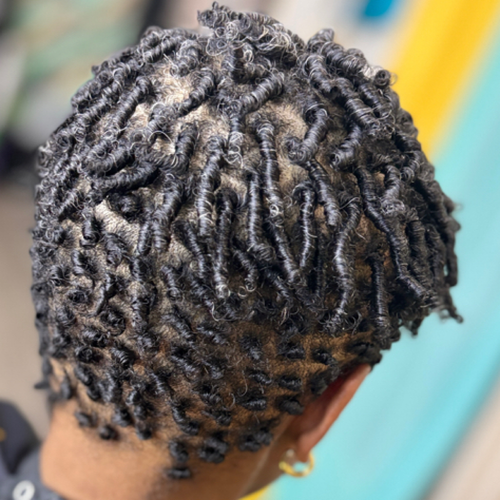 Luxe Starter Loc Experience at The Thairapy Suite A Natural Hair Care & Loc Maintenance Salon Suite in Henderson, NV