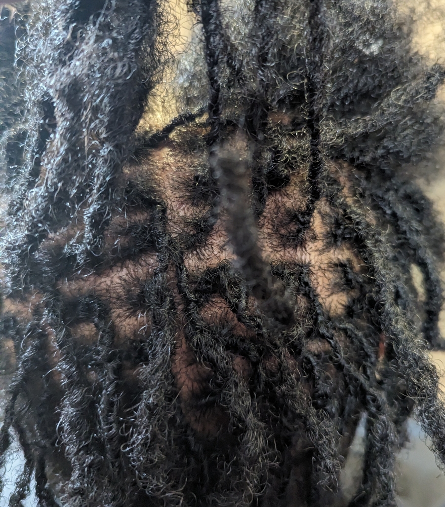 Instant Locs (Small)