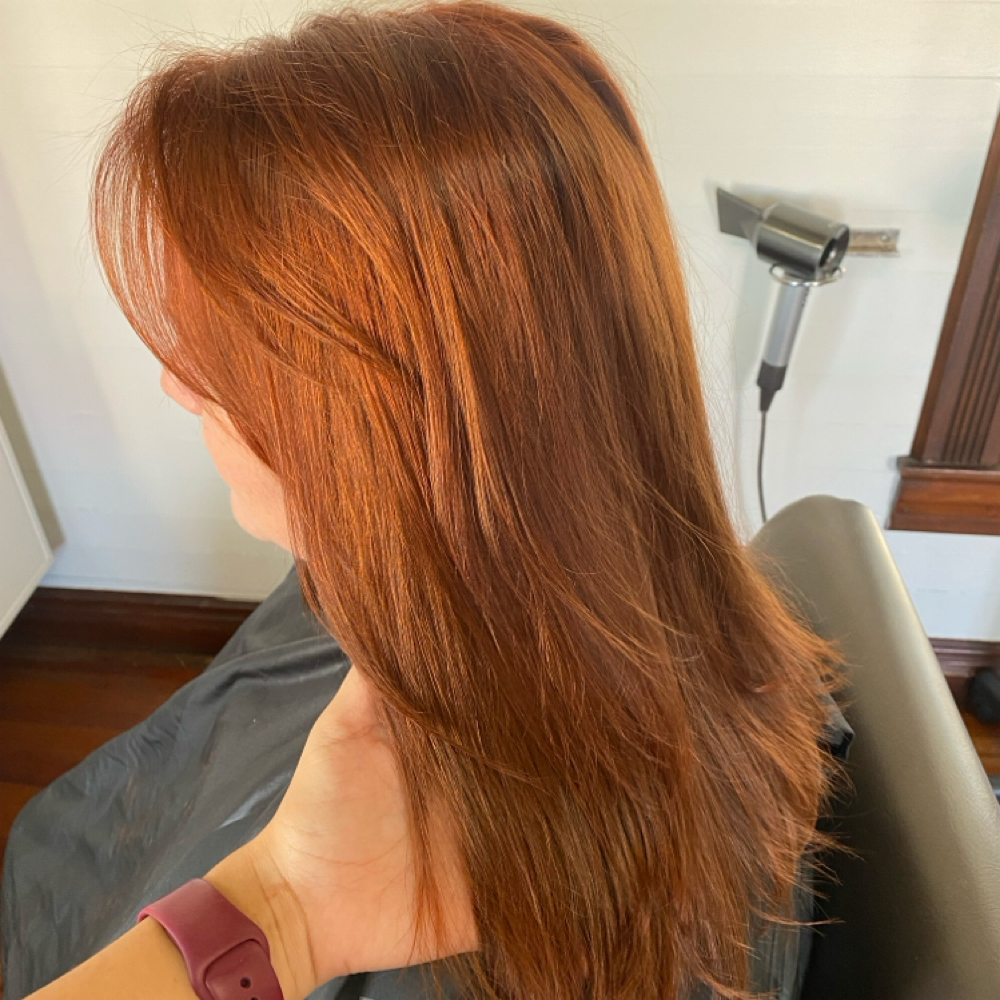 All Over Color at Alyssa with Shears in New Braunfels, TX