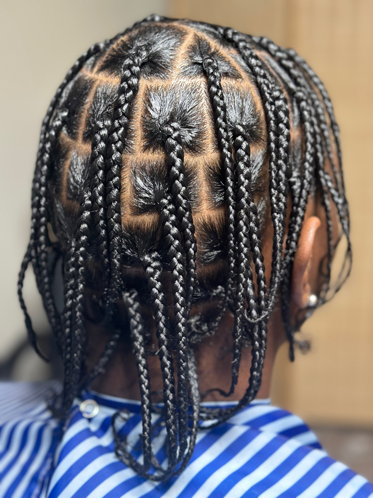 natural Plaits/ Twist
