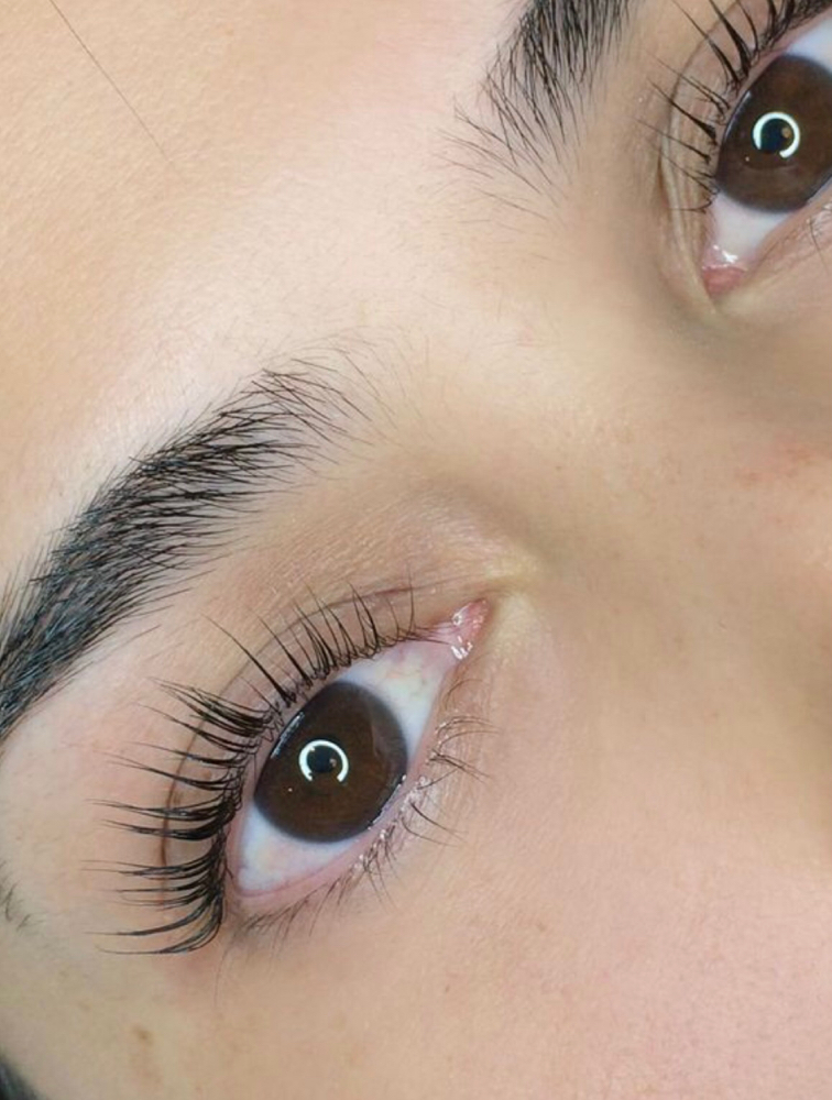 Lashlift+tint