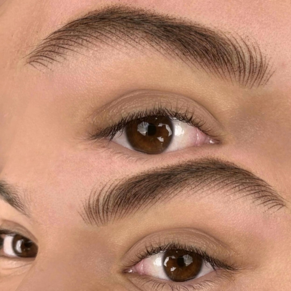 Microblading $450 at Wow Brows Studio in Bakersfield, CA
