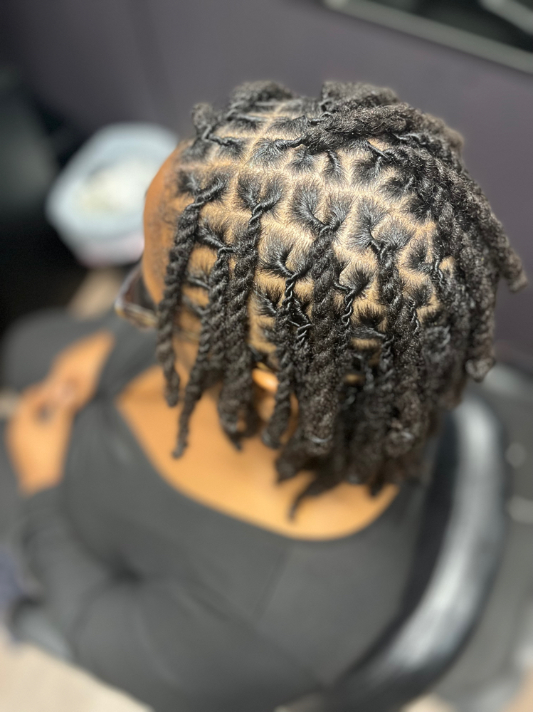 2 Strand Twists Retwist