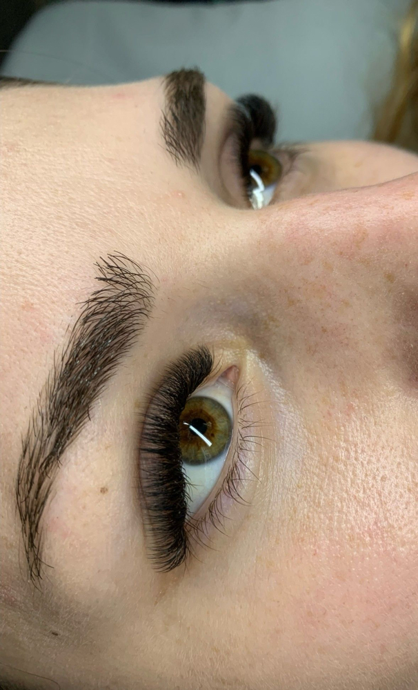 Volume Lashes