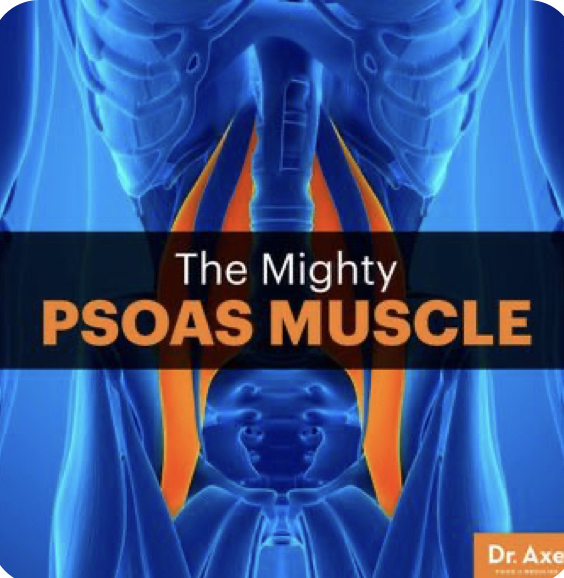 Release (Psoas)
