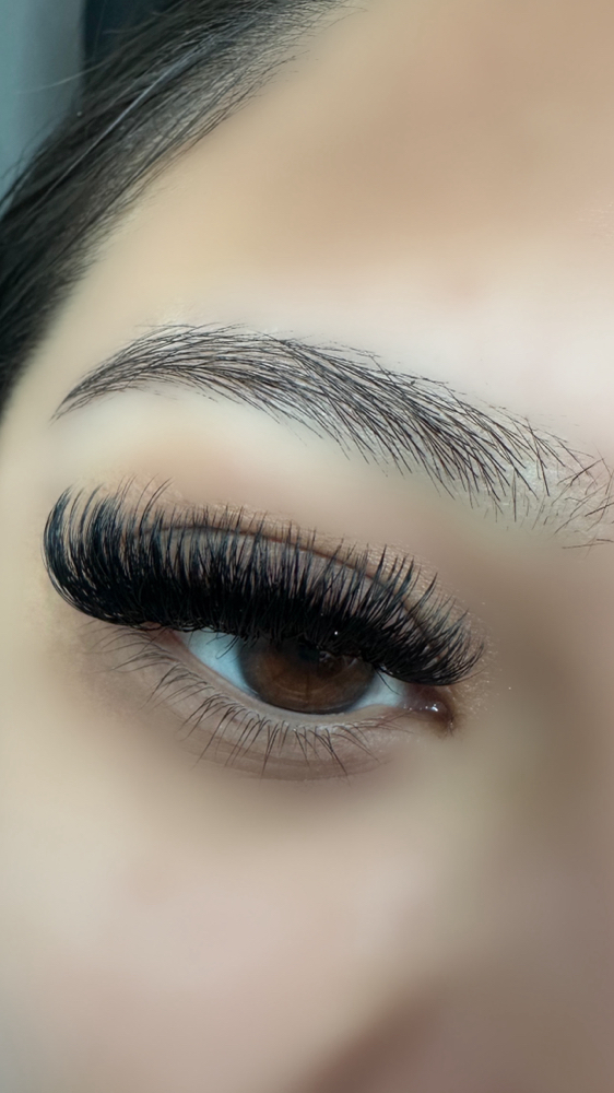 Volume Lashes