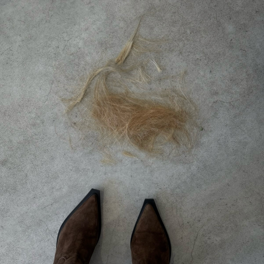 Haircut With Color at The Grove Salon Co. in Rocklin, CA