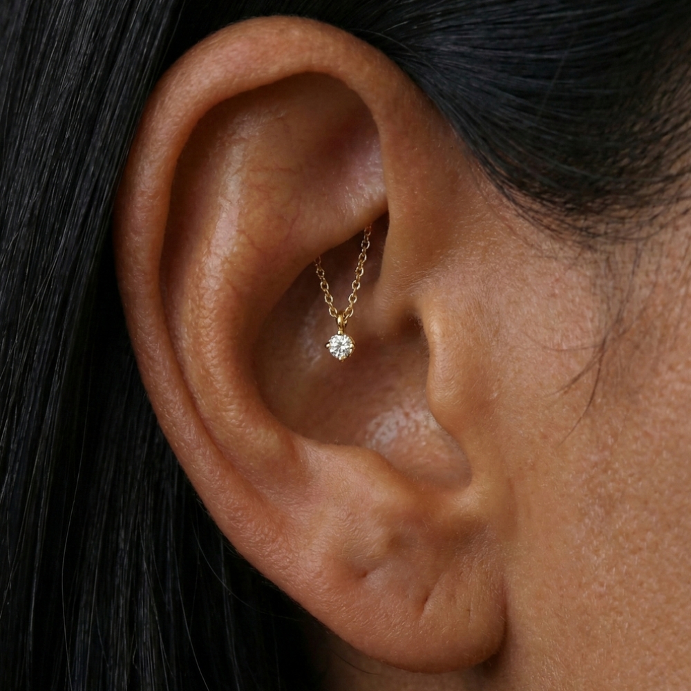 Hidden Rook Piercing at Gilded Needle in BRENTWOOD, CA