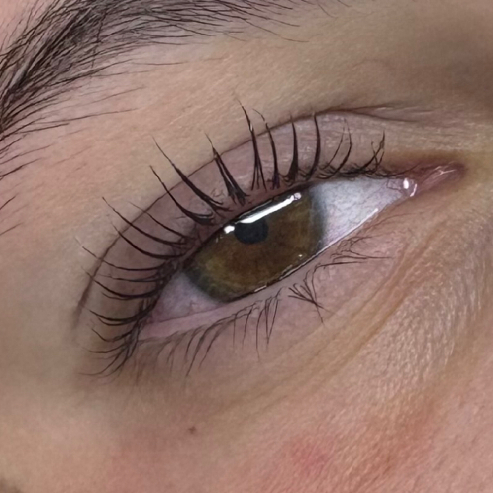 Korean Lash Lift + Tint at Artisan Fringe in Martinsburg, WV
