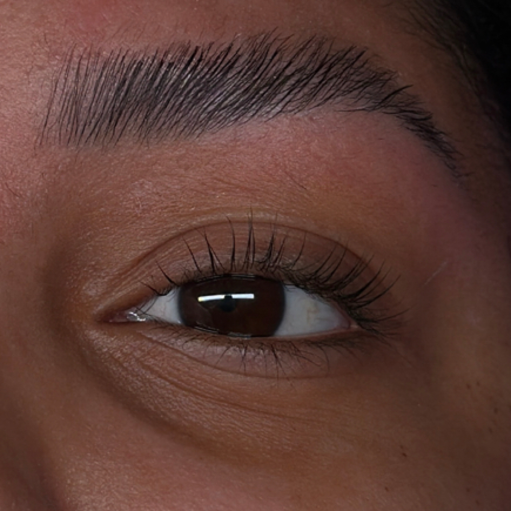 Lash Lift at Txlashnbrow in Abilene, TX