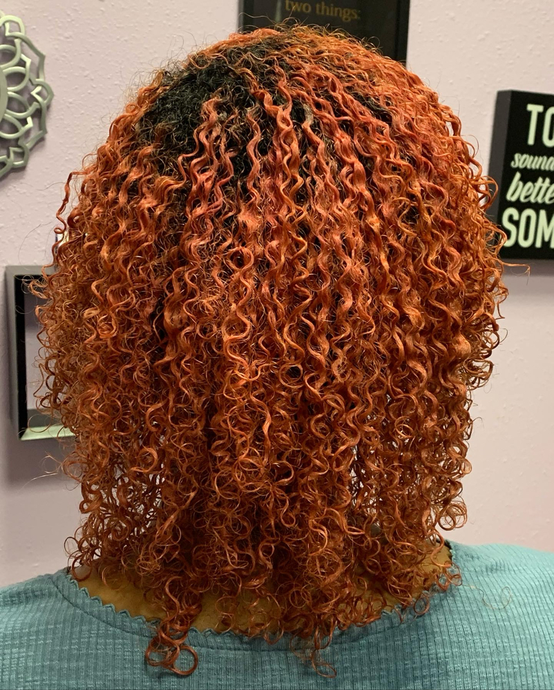 All Over Color (long hair)