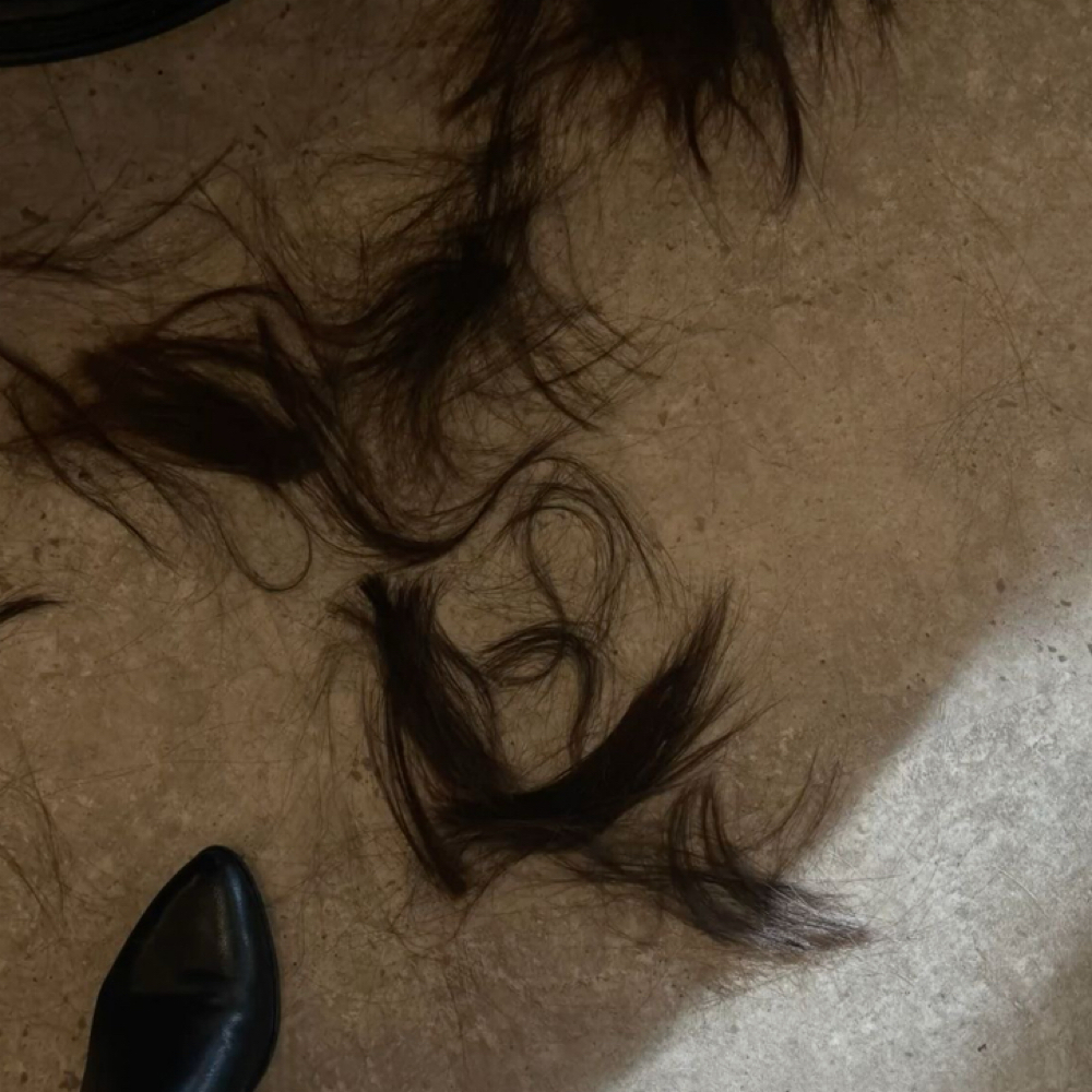 Add-On Haircut at StyledxShantel in Waterloo, NE