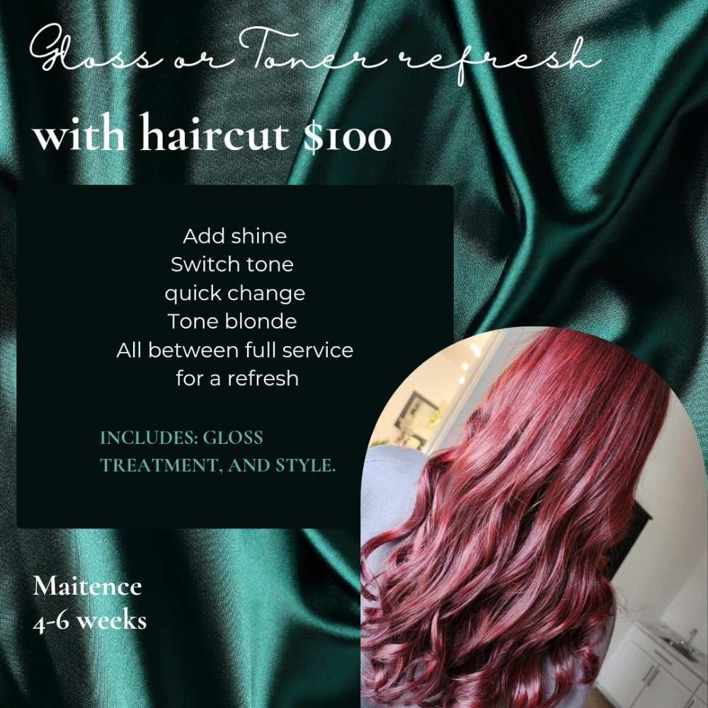 Gloss Toner Refresh With Haircut